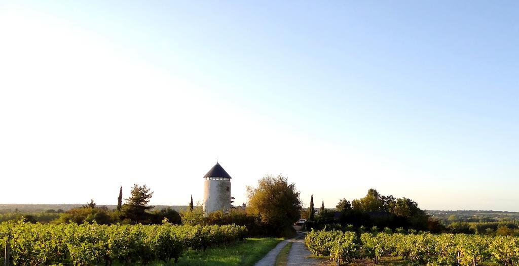 La Tour Du Moulin Geant Bed & Breakfast Rochefort-sur-Loire Exterior foto