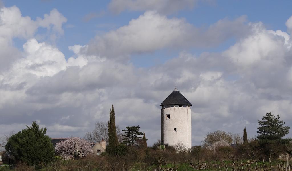 La Tour Du Moulin Geant Bed & Breakfast Rochefort-sur-Loire Exterior foto