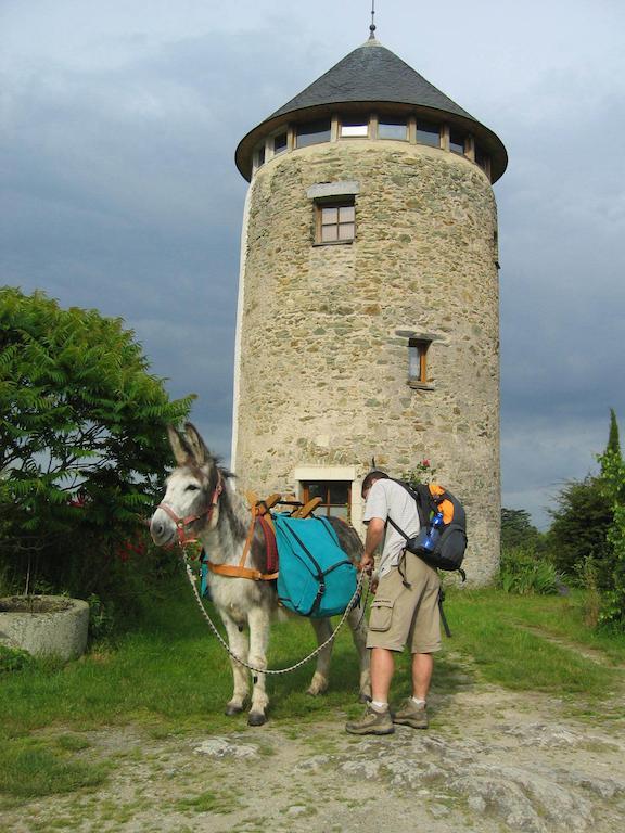 La Tour Du Moulin Geant Bed & Breakfast Rochefort-sur-Loire Exterior foto